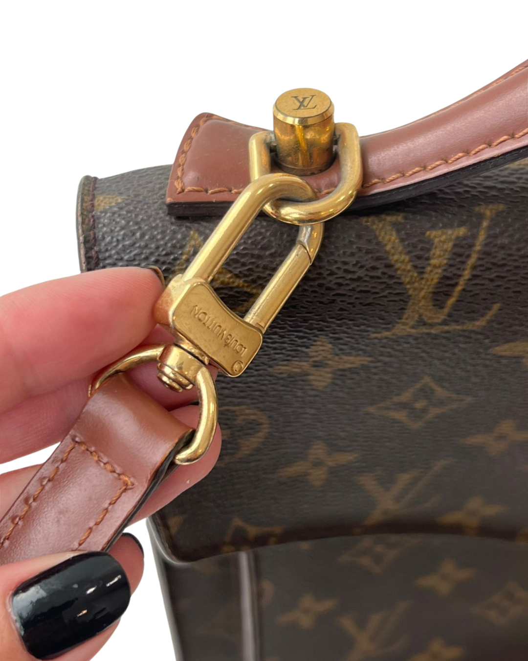 Louis Vuitton Pochette Monceau Métis Monogram