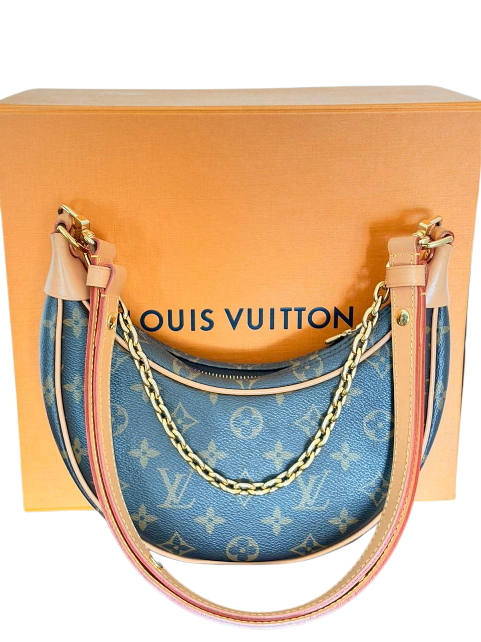 Louis Vuitton Loop PM Monogram