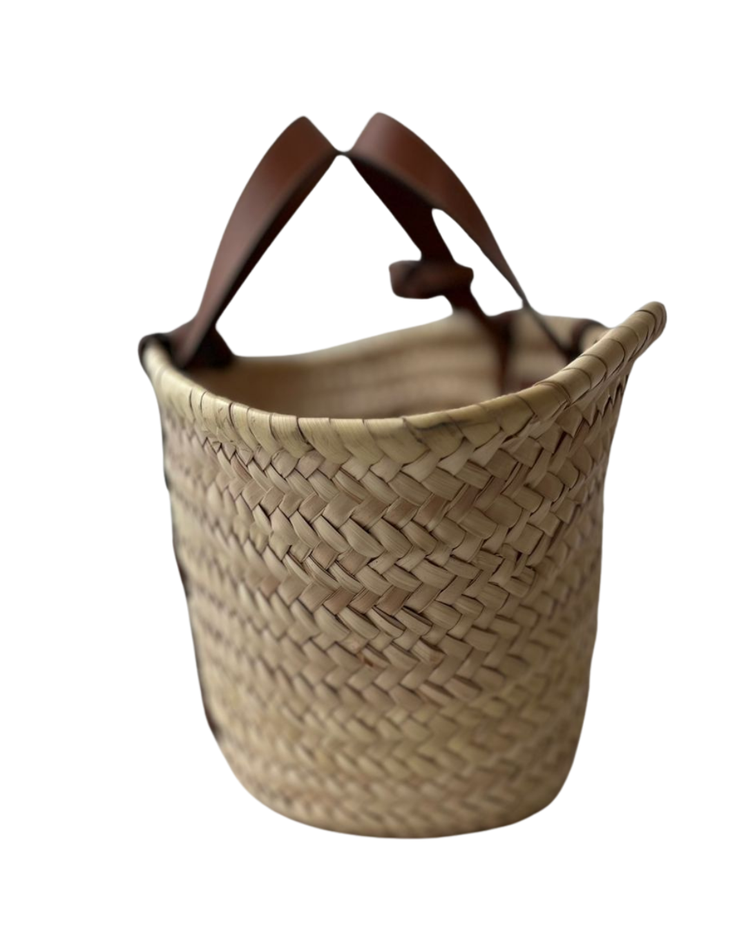 Celine Classic Panier Teen