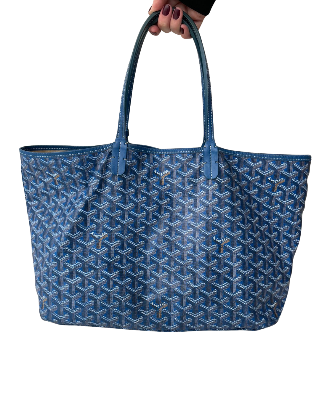 Goyard Saint Louis PM Azul