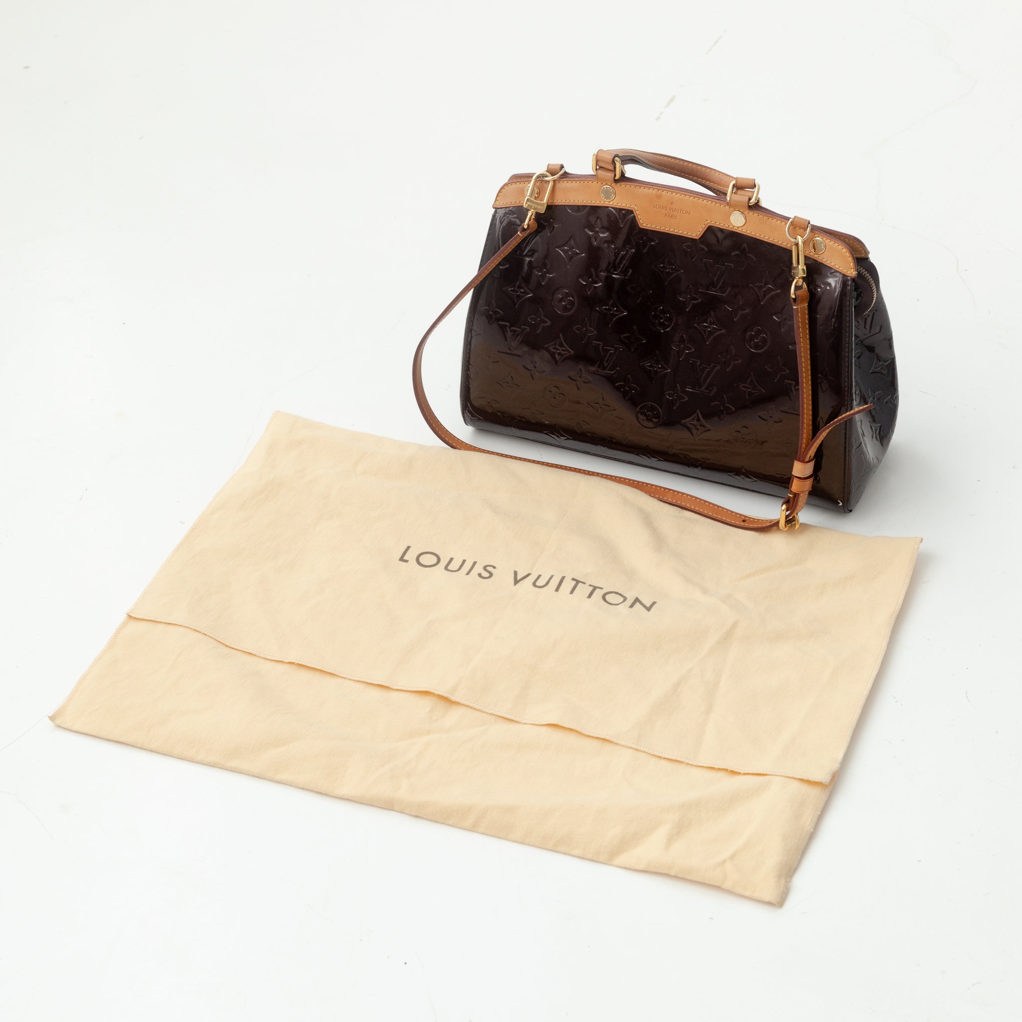 LOUIS VUITTON Brea bag