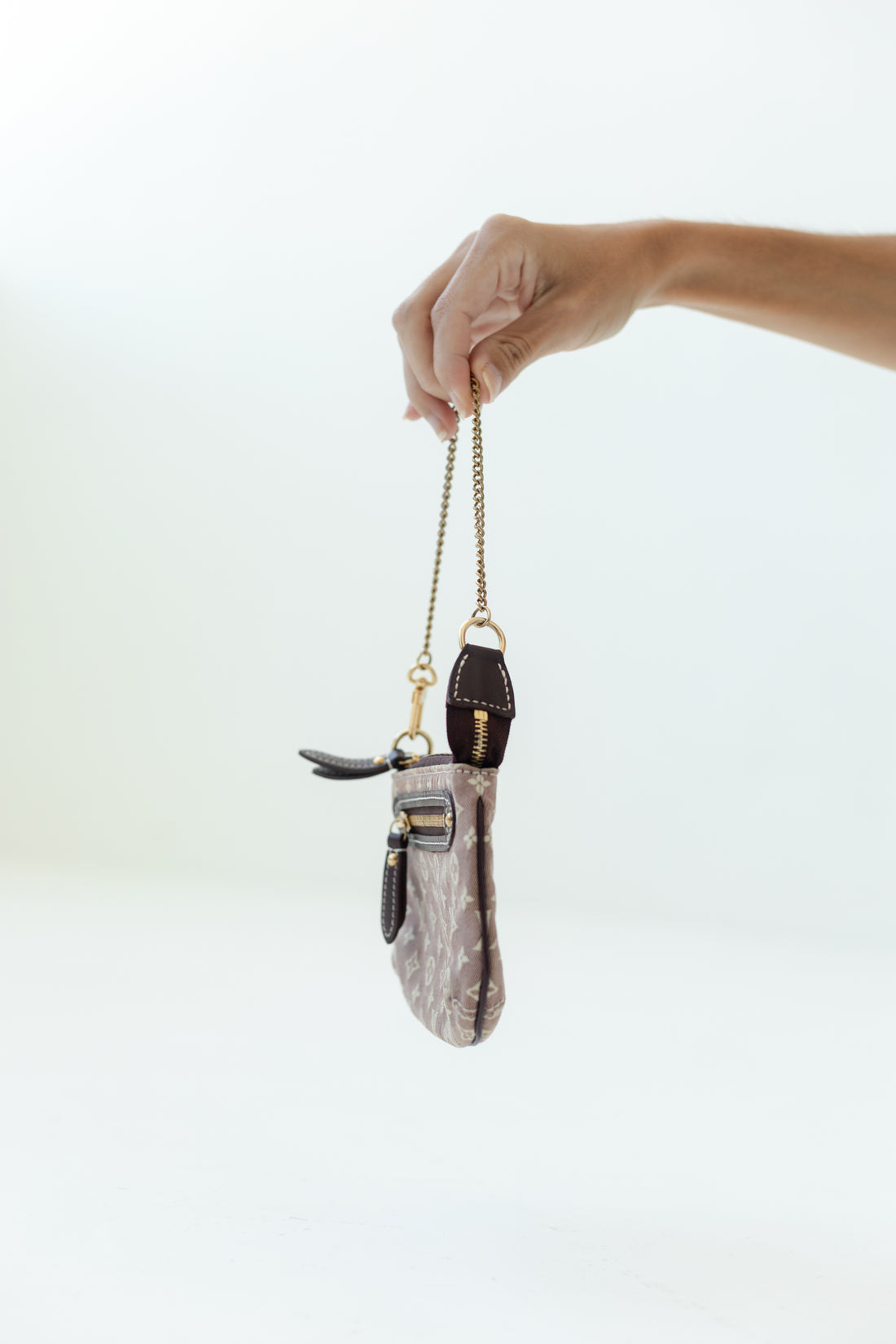 LOUIS VUITTON Pochette Accessoires monogram idylle