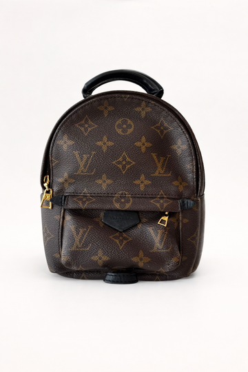Louis Vuitton Palm Springs Mini